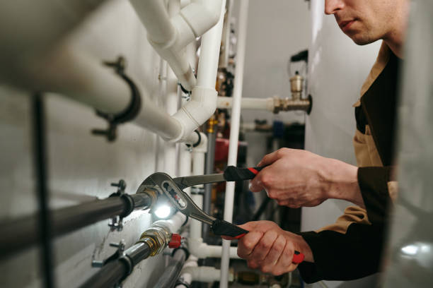 Best Commercial Plumbing Services  in Belleville, MI