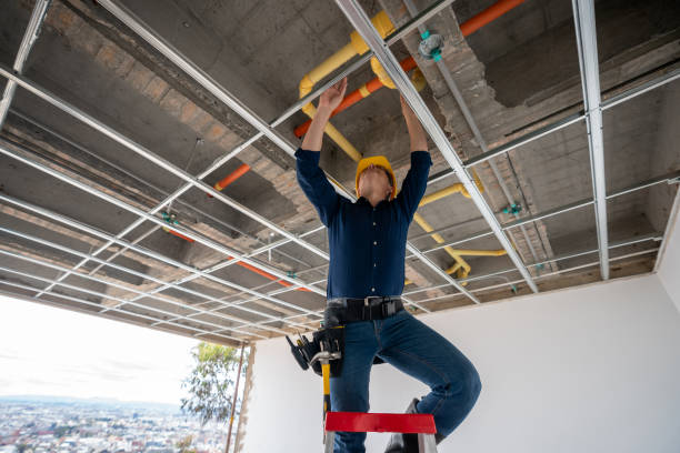 Best Affordable Plumbing Services  in Belleville, MI