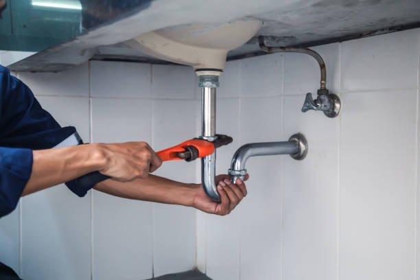 Best Plumbing Inspection Services  in Belleville, MI