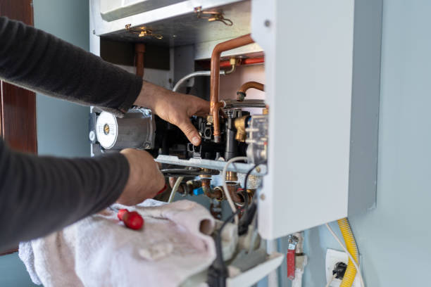Best Same-Day Plumbing Service  in Belleville, MI